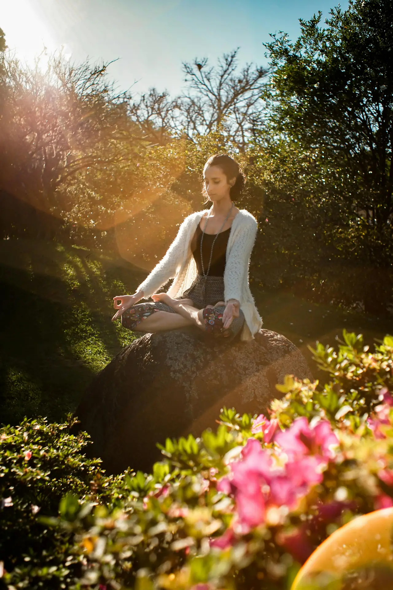 Person practicing mindfulness while sitting calmly in a tree, symbolizing awareness and connection with nature.
